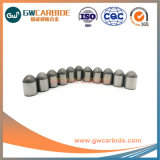 Solid Tungsten Carbide Mining Buttons