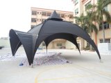 6m Large Event Dome Tent with Awning Arch
