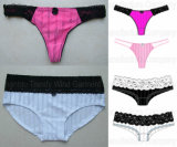 Lace Shadow Stripe Panty