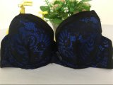 2017 New Style Warehouse Women Bra (CS1845)