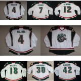 Ahl Houston Aeros Tomas Mojzis Anton Khudobin Hockey Jerseys