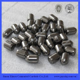 High Quality Tungsten Carbide Buttons