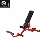 Plate Loaded Hammer Strength Adjustable Bench Osh066 Sprots Equipment