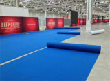 Carpet for Exhibition at Lower Price