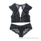 European New Design Sexy Ladies Lace Lingerie