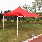 3X3m New Design Pop up Marquee with Awning Flap