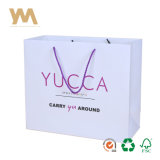 Custom Printed Shopping Paper Bag with Your Own Logo