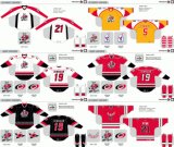 Customized American Hockey League Albany River Rats Hockey Jersey