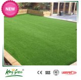 Colorful Landscape Artificial Grass Carpet Carpet for House Garden