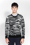 New Sale Wool Crew Neck Jacquard Knit Men Sweater