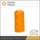 50d/2 Oeko-Tex100 1 Class Polyester Embroidery Thread for Hand Knitting