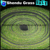 25mm Artificial Grass Carpet with Bicolor and Multicolor