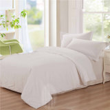 Taihu Snow Twin Size Washable Silk Quilt with Cover for Home