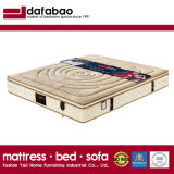 2017 New Design Top Sale Fashion Bed Mattress (FB739)