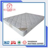 2016 Made in China Wholesale Pocket Spring Mattress Rolled in a Box