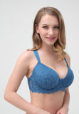 2017 New Ladies Bra with Sizes 85D90CD95CD100d