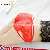 Sexy Low-Waisted Hollowed-out Lace Ladies Transparent Panties Triangle Underwear