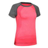 Hot Ladies Brand Fitness Gym Color Combination Short Sleeve Top