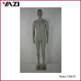 Male Window Mannequin and Male Dummy for Sale
