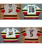 Personalized Ohl Barrie Colts Rick Hwodeky Cation Ice Hockey Jerseys