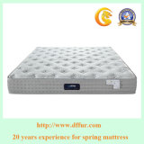 13” Galaxy Euro Box Top Spring Mattress U23