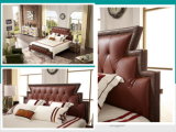 The Comfortable Bedding Set of Home Furniture (A801)