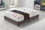 2014 Pocket Coil Spring Mattress Queen Size Mattress From Mattress Manufacturer