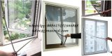 Windows Insect Screen Mosquito Net