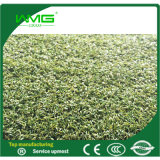 Artificial Golf Putting Green Carpet Family Use