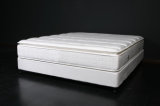 2017 Classic Design Furniture - Bed of Good Companion - Spring Mattress