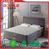 Tecel Fabric Hard Foam Sleeping Well Mattress