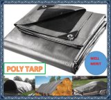 All Purpose Cover Tent Awning Lona PE Tarpaulin Poly Tarp